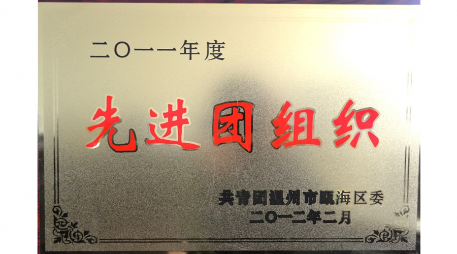 2011年先進(jìn)團(tuán)組織