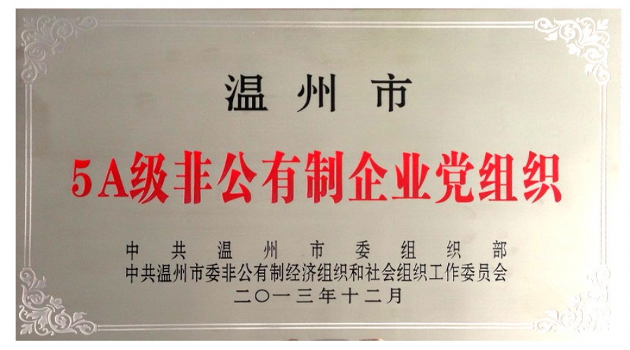 2013年溫州市5A非公有制企業黨組織